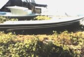 Speedboat for sale : Mob: 9113019