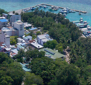 Villimale-logo-300×300-3